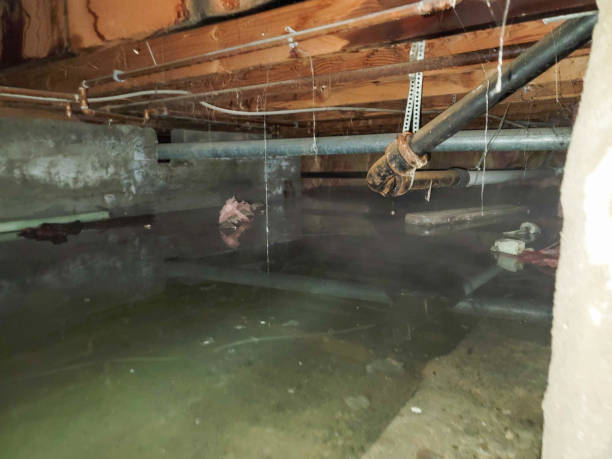 Best Carpet water damage restoration  in Riviera Beach, MD