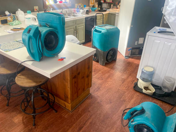 Best 24/7 water damage repair  in Riviera Beach, MD