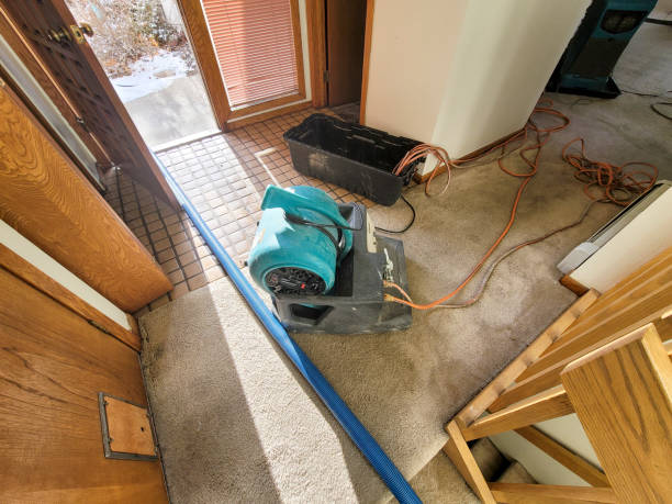 Best Sewage cleanup and water damage restoration  in Riviera Beach, MD