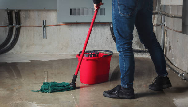 Best Local water damage restoration  in Riviera Beach, MD