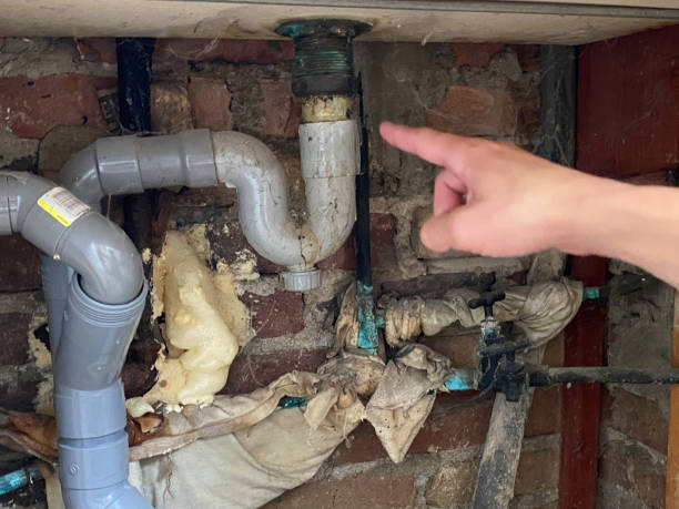 Best Water damage cleanup near me  in Riviera Beach, MD