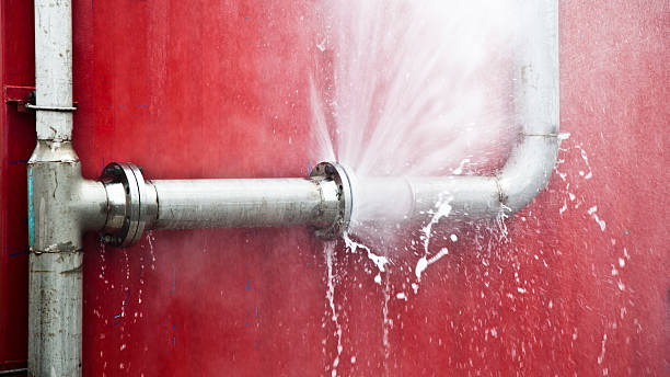 Best Flood damage cleanup  in Riviera Beach, MD