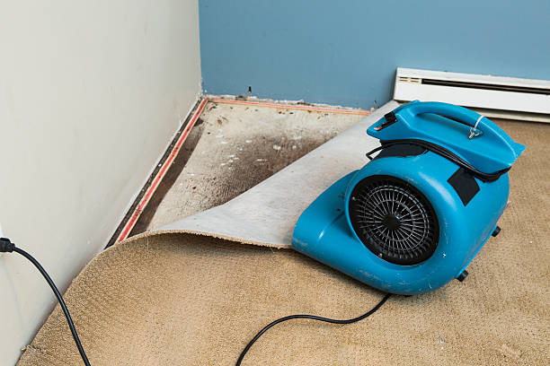 Best Water damage mitigation services  in Riviera Beach, MD